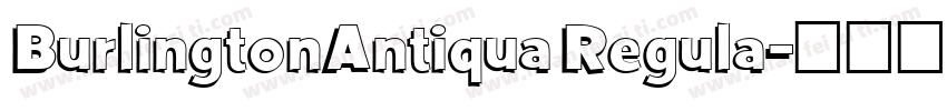 BurlingtonAntiqua Regula字体转换